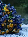 IMG_20250618_113603.webp