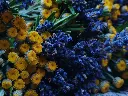 IMG_20250618_113550.webp