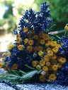 IMG_20250618_113617.webp