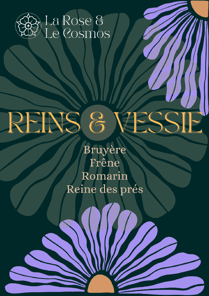 Tisane Reins & Vessie
