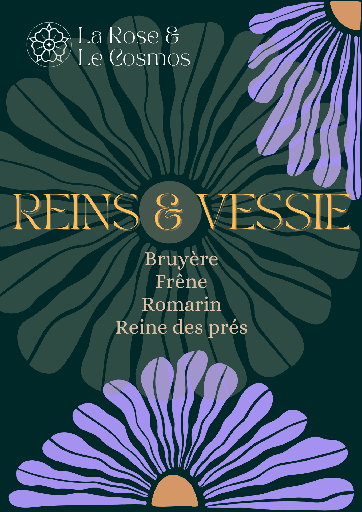 Tisane Reins & Vessie